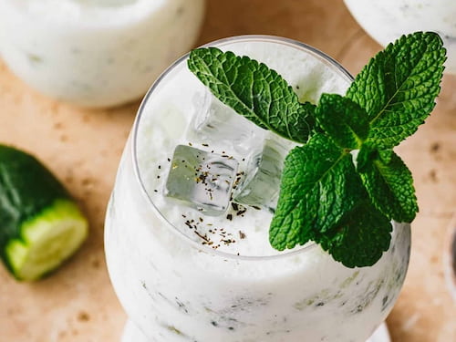 تصویر 2 از خرید دوغ تخمیری + قیمت فروش استثنایی